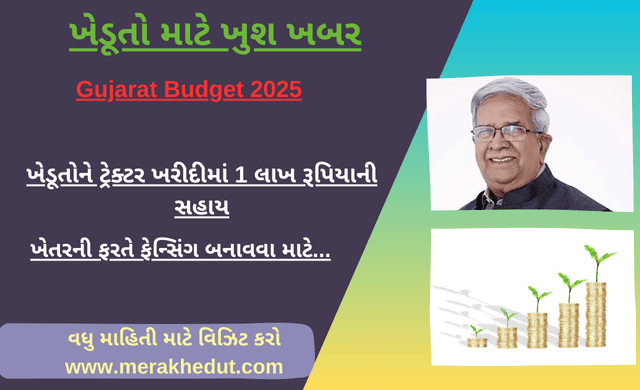 Gujarat Budget 2025,બજેટ 2025