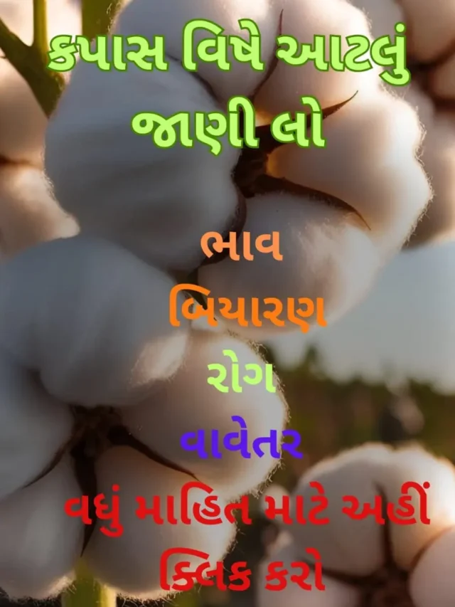 કપાસ