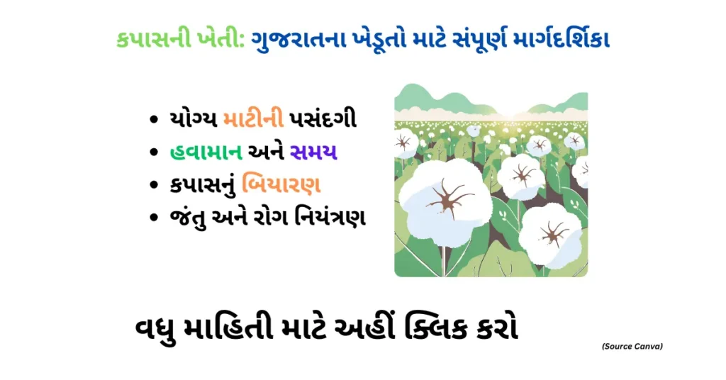 કપાસની ખેતી