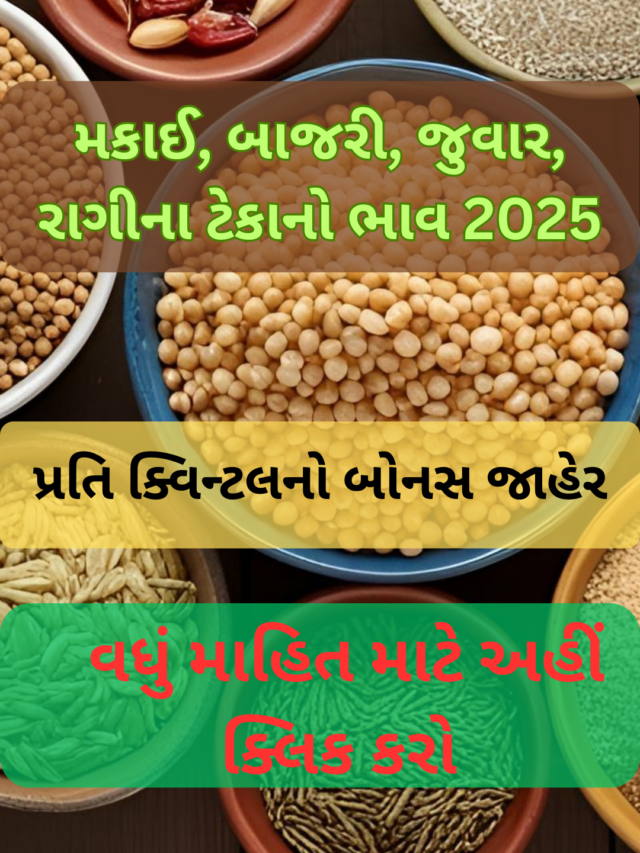 મકાઈ, બાજરી, જુવાર અને રાગીના માટે ટેકાનો ભાવ 2025